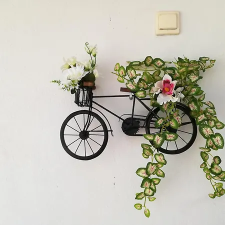 Σπίτι διακοπών Avi Pep *